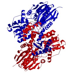 Image of CATH 4xww