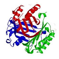 Image of CATH 4xx8