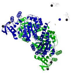 Image of CATH 4xym