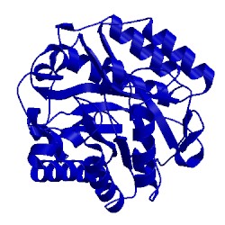 Image of CATH 4xzb