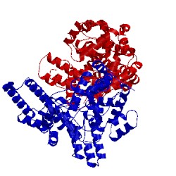 Image of CATH 4xzc