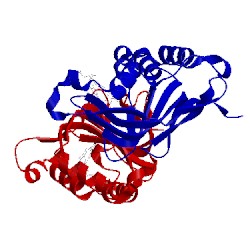 Image of CATH 4xzd