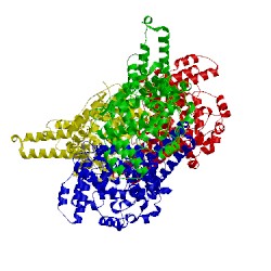 Image of CATH 4xze