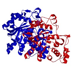 Image of CATH 4xzh