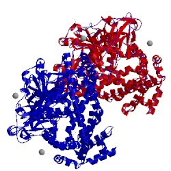 Image of CATH 4y06