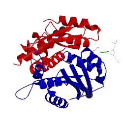 Image of CATH 4y1c