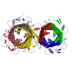 Image of CATH 4y1k