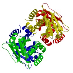 Image of CATH 4y2e