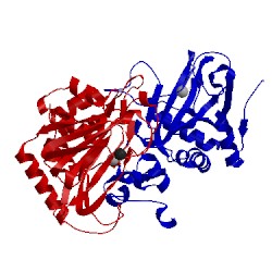 Image of CATH 4y5t