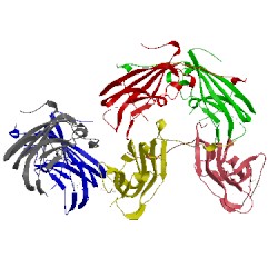 Image of CATH 4y6t