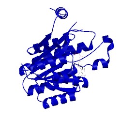 Image of CATH 4y9d