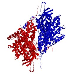 Image of CATH 4y9j