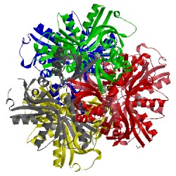 Image of CATH 4yb6