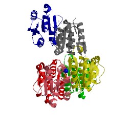 Image of CATH 4ycs