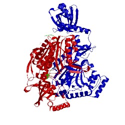 Image of CATH 4ycu