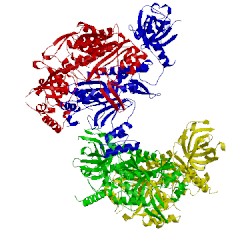 Image of CATH 4ycv