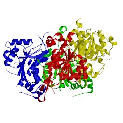 Image of CATH 4yed
