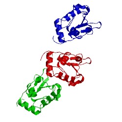 Image of CATH 4yf2