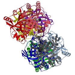 Image of CATH 4ygf