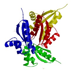 Image of CATH 4yjx