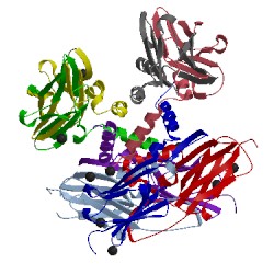 Image of CATH 4ylc