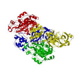 Image of CATH 4ylu