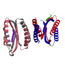 Image of CATH 4ynl