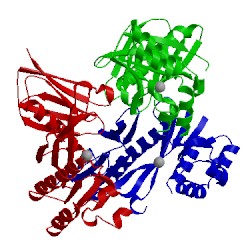 Image of CATH 4yot