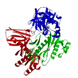 Image of CATH 4you