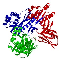 Image of CATH 4yov