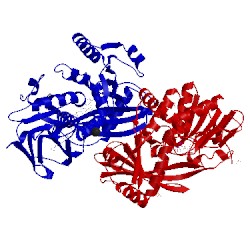 Image of CATH 4ysh