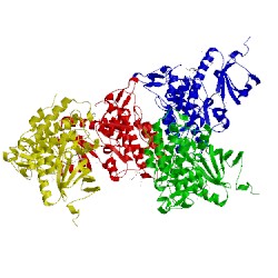 Image of CATH 4yu2
