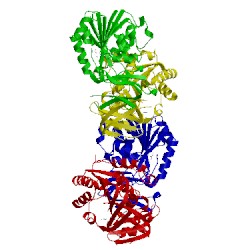 Image of CATH 4yuz