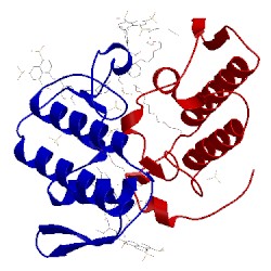 Image of CATH 4yv5