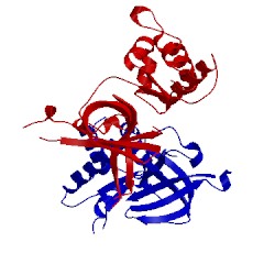 Image of CATH 4ywk