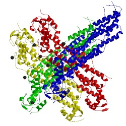 Image of CATH 4ywt