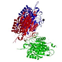 Image of CATH 4ywy