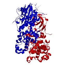 Image of CATH 4yzc