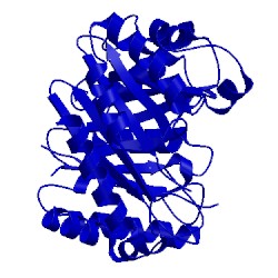 Image of CATH 4yzk