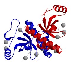 Image of CATH 4z02