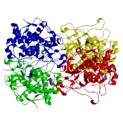Image of CATH 4z0y