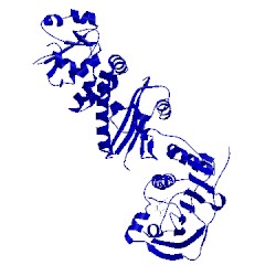 Image of CATH 4z1g
