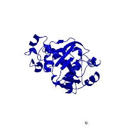 Image of CATH 4z2y