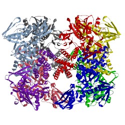 Image of CATH 4z32