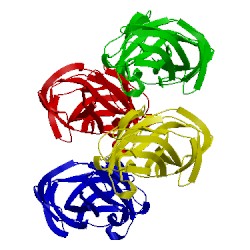 Image of CATH 4z3j