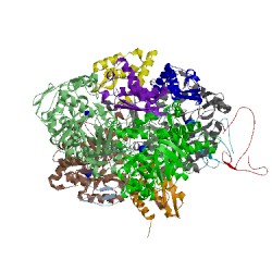 Image of CATH 4z42