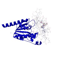 Image of CATH 4z47