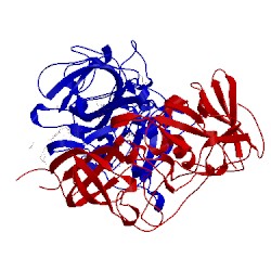 Image of CATH 4z4s