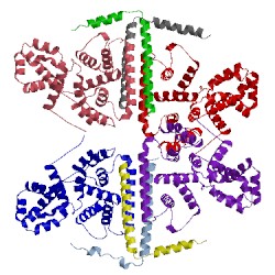 Image of CATH 4z6y