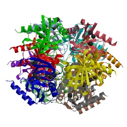 Image of CATH 4z74